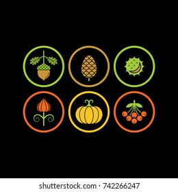 Autumn flat vector icons. Acorn, fiir cone, chestnut, pumpkin, rowan, physalis icons