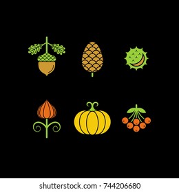 Autumn flat vector icons. Acorn, fiir cone, chestnut, pumpkin, rowan, physalis icons