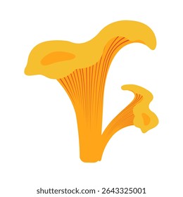 Ilustração do vetor plano do outono: cogumelos chanterelle para o projeto sazonal do outono. Elemento desenhado à mão para banners, cartões, mídias sociais