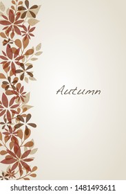 Autumn flora and leaves border background vector for decoration on 