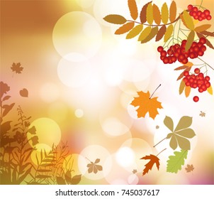 Autumn floral background.