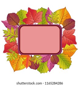 Autumn floral background with decorative frame for text. Design elements for the fall seasonal banner, poster, flyer, or Thanksgiving greeting card.