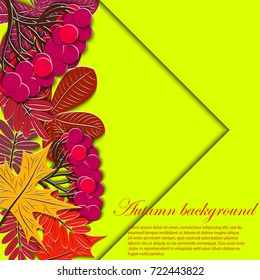 Autumn floral background. Maple and chestnut leaf, rowanberry branch with special place for text. Design elements for fall seasonal banner, poster, teacher's Day or Thanksgiving greeting card.