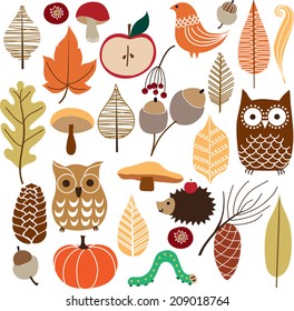 Autumn floral background. Vector set of autumn nature elements of hand drawn.