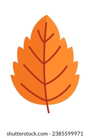 Autumn Floral Leaf Vector Illustration