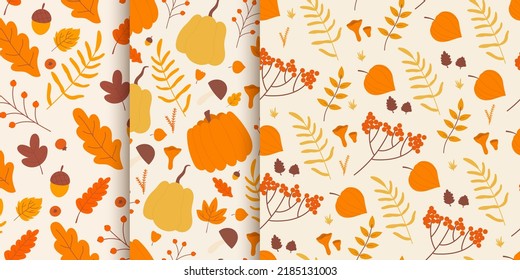 Patrón floral otoñal con hongo forestal, lindo otoño hojas de ilustración vectorial. Bellota de dibujos animados, flor natural y follaje, hojas de arce o roble, bayas rojas y calabaza plantilla de diseño decorativo