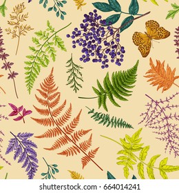 Autumn floral seamless pattern. Vector botanical illustration. Fern leaves, elderberry, butterfly. Colorful.