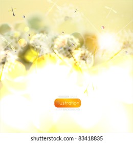 Autumn Flower Background with dandelions