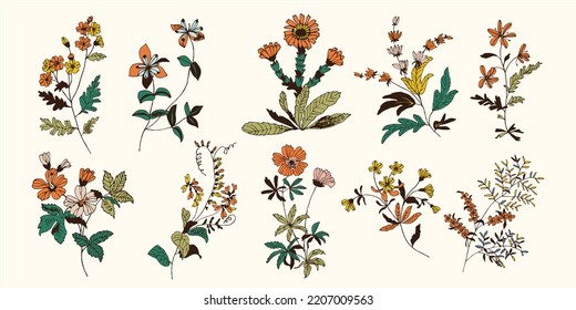 Autumn flower collection drawn with vectors