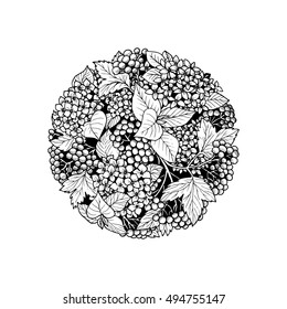 Autumn flowers in the circle. Vector illustration. Hydrangea, viburnum. 