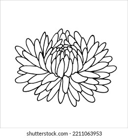 Autumn flowers EPS outline  for product design