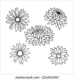 Autumn flowers EPS outline for product design