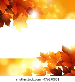 autumn flowers on white background