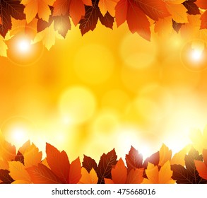 autumn flowers with orange background