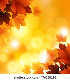 autumn flowers with orange background