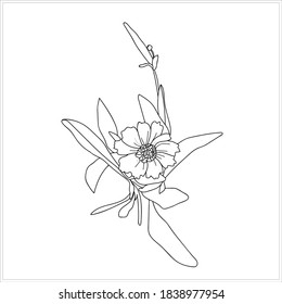 Autumn flowers  pattern.Image on white and colored background.Textile design.