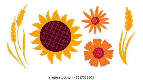 Autumn flowers, sunflower, ears of corn cozy design elements. Fall stickers collection. Flat Vector illustration isolated on white background