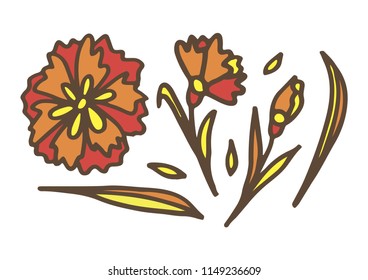 Autumn flowers. Vector illustration. The elements of design. Floral