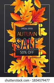 Volante de otoño o fondo con hojas de otoño brillantes. A4 ilustración vectorial para banner, afiche, invitación, oferta especial, publicidad, volante, comercial.