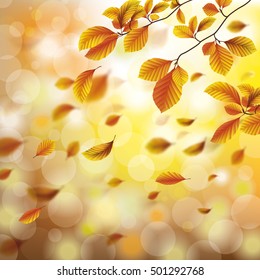 Autumn flyer design with beech tree foliage and sunlights. Eps 10 vector file.