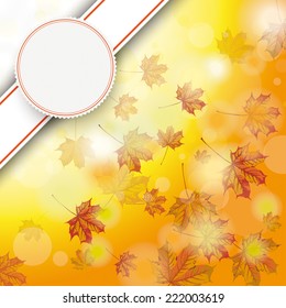 Autumn flyer design with maple foliage. Eps 10 vector file.