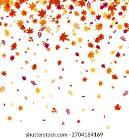 Autumn flying and falling leaves background with colorful seasonal foliage in red, orange, and yellow. Perfect for nature themes, seasonal sales, posters. Vector illustration