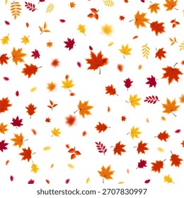 Autumn flying and falling leaves background with colorful seasonal foliage in red, orange, and yellow. Perfect for nature themes, seasonal sales, posters. Vector illustration