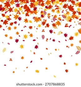 Autumn flying and falling leaves background with colorful seasonal foliage in red, orange, and yellow. Perfect for nature themes, seasonal sales, posters. Vector illustration