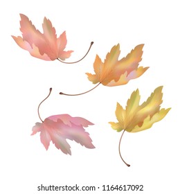 Autumn flying maple leaves on white background. Vector illustration
