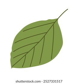 autumn foliage against a white background