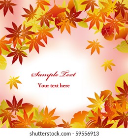 Autumn Foliage Background. Illustration vector.