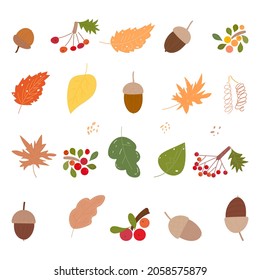 autumn foliage and berryes isolated vector illustration set