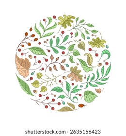 Autumn foliage circle composition in hand-drawn vector style with colorful leaves, berries, and acorns. Ideal for fall-themed prints, posters, nature branding, and eco packaging.