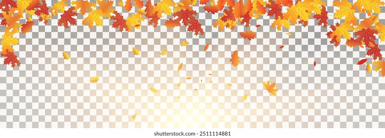 Autumn foliage with falling maple leaves.Light rays. Vector illustration.On a transparent background.