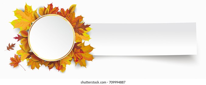 Autumn foliage with golden circle and white paper banner. Eps 10 vector file.