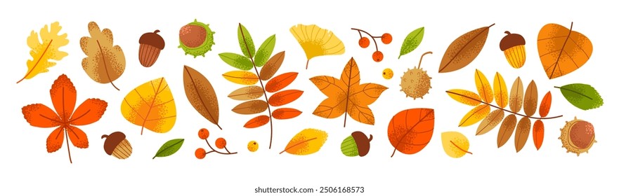 Follaje otoñal con hojas doradas y conjunto de plantas de otoño. Elementos verdes y forestales en un estilo contemporáneo. Ilustración vectorial plana.