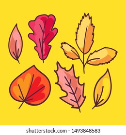 Autumn foliage hand drawn illustrations set. Tree leaves, herbarium isolated on yellow background