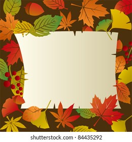 Autumn Foliage Leafs Frame
