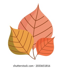 autumn foliage leaves icon isolated