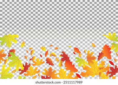 Autumn foliage of oak, maple.  Abstract tree foliage characteristic of the November season.On a transparent background.