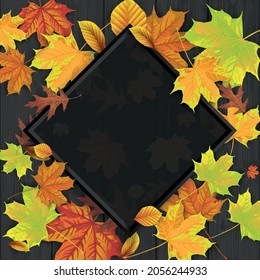 Autumn foliage on the black wooden background and white frame.  Eps 10 vector file.