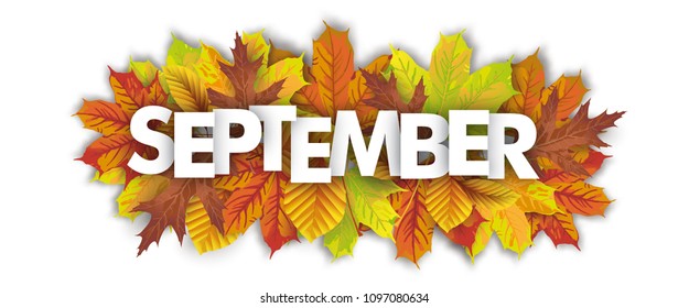 Autumn foliage on the white background, with text September.  Eps 10 vector file.