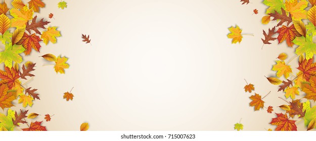Autumn foliage on the white background.  Eps 10 vector file.