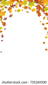 Autumn foliage on the white background. Eps 10 vector file. 
