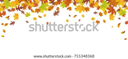 Similar – Bunter Rahmen Herbst