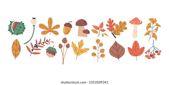 Autumn Foliage Set, Collection Of Leaves In Rich Shades Of Red, Orange, And Yellow, Chestnut, Acorn, Mushroom