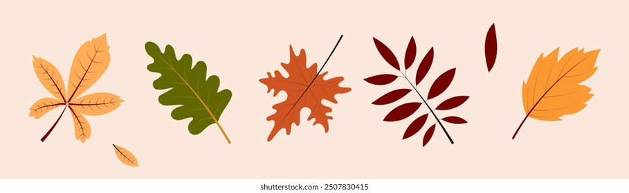 Autumn foliage set. Elements for design, book, scrapbooking, note, sticker, memo, card. 