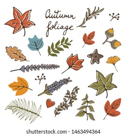Autumn foliage stylash elements collection with lettering