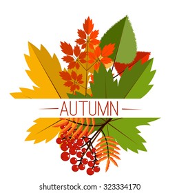 autumn foliage vector banner. Autumn typographical background with autumn leaves. Autumn typographic. Fall leaf.  Autumn sale vector banner
