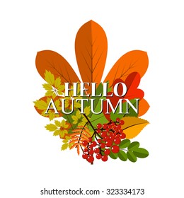 autumn foliage vector banner. Autumn typographical background with autumn leaves. Autumn typographic. Fall leaf.  Autumn sale vector banner